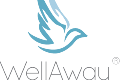 WA-Logo