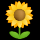 (sunflower)_scaled_40